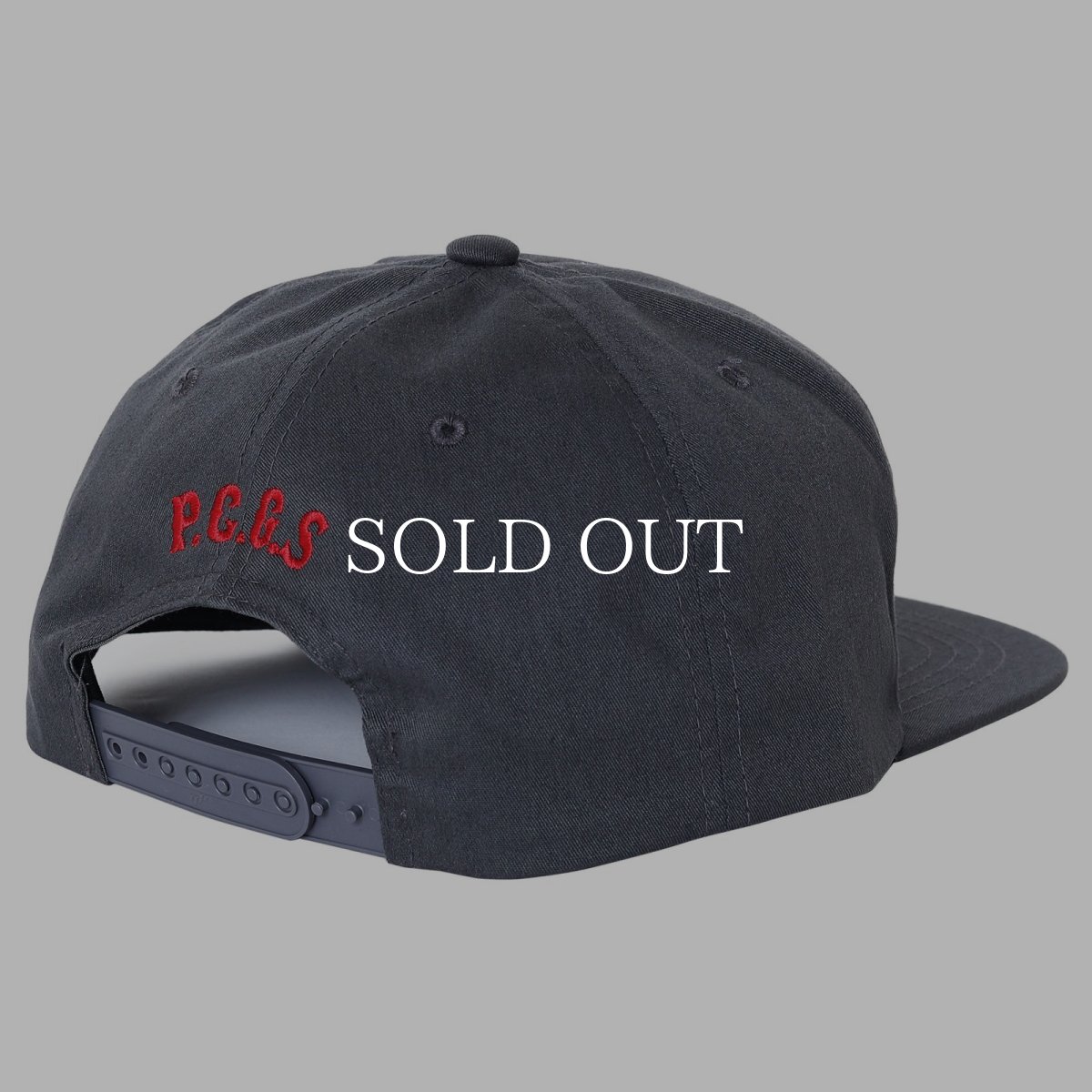 画像14: PORKCHOP GARAGE SUPPLY  Through and Through CAP (14)