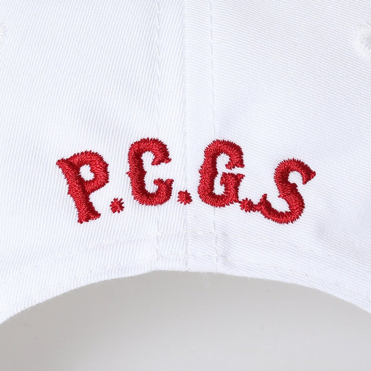 画像10: PORKCHOP GARAGE SUPPLY  Through and Through CAP (10)