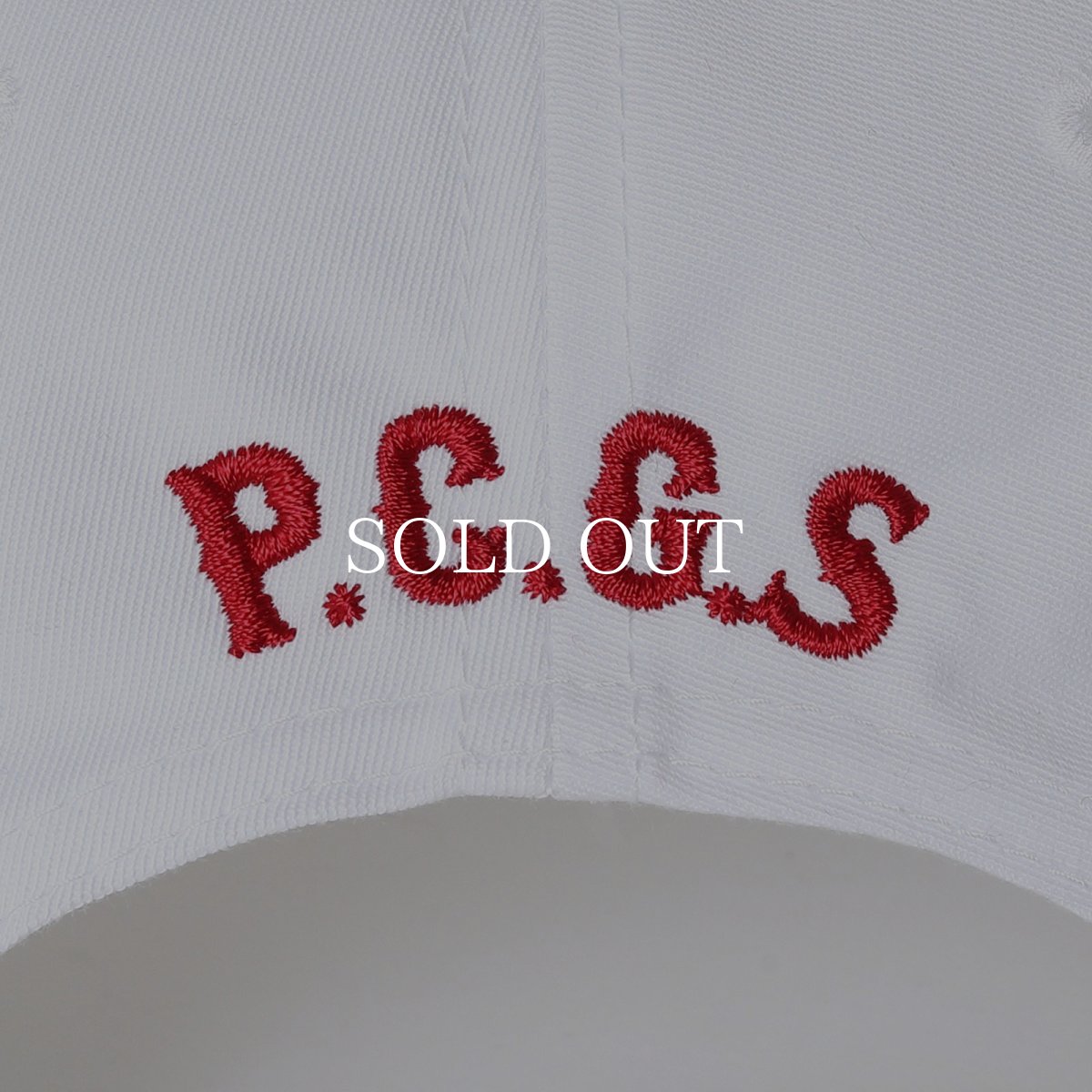 画像10: PORKCHOP GARAGE SUPPLY  Through and Through CAP (10)