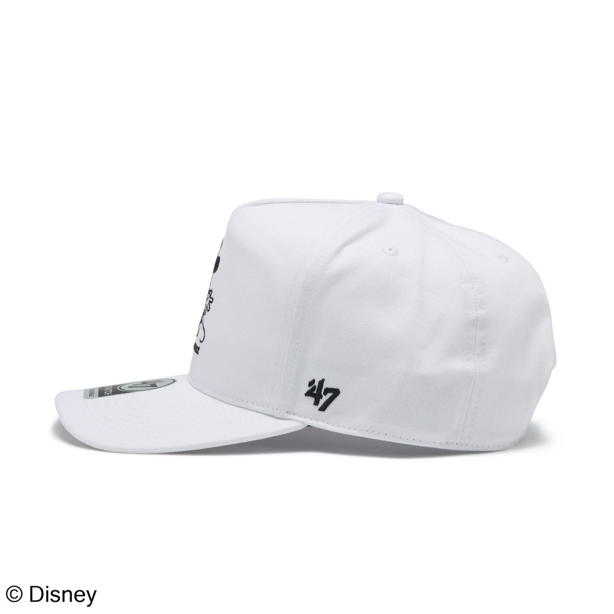 画像6: '47  ’47 ヒッチ Disney ディズニー ミニーマウス ココナッツ (6)