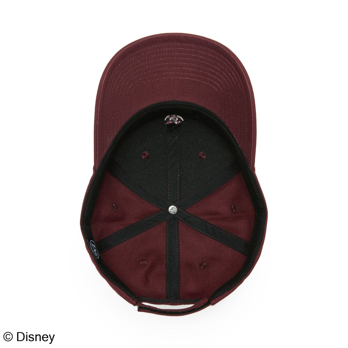 画像5: '47  ’47 エムブイピー Disney ディズニー ピグレット ダークマルーン (5)