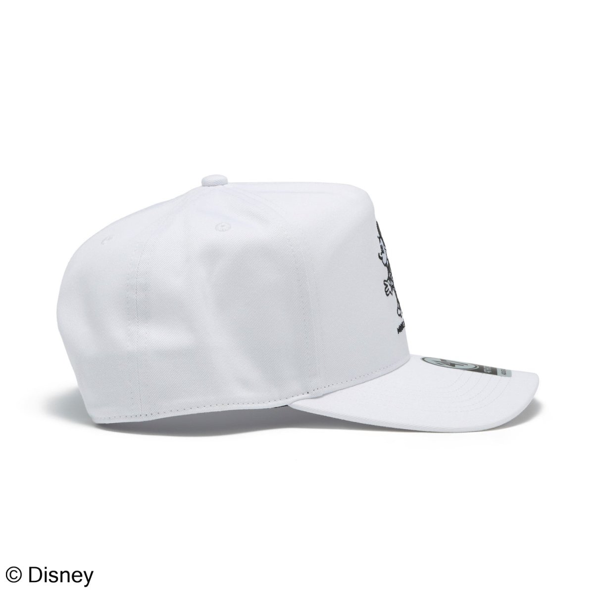 画像7: '47  ’47 ヒッチ Disney ディズニー ミニーマウス ココナッツ (7)