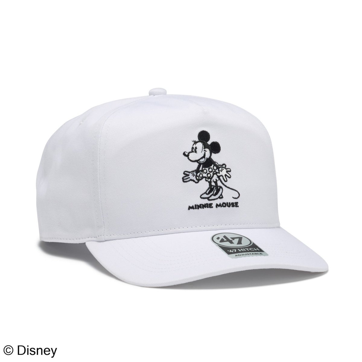 画像3: '47  ’47 ヒッチ Disney ディズニー ミニーマウス ココナッツ (3)