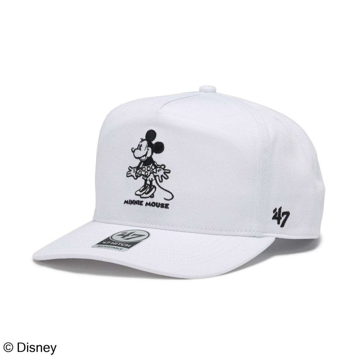 画像1: '47  ’47 ヒッチ Disney ディズニー ミニーマウス ココナッツ (1)