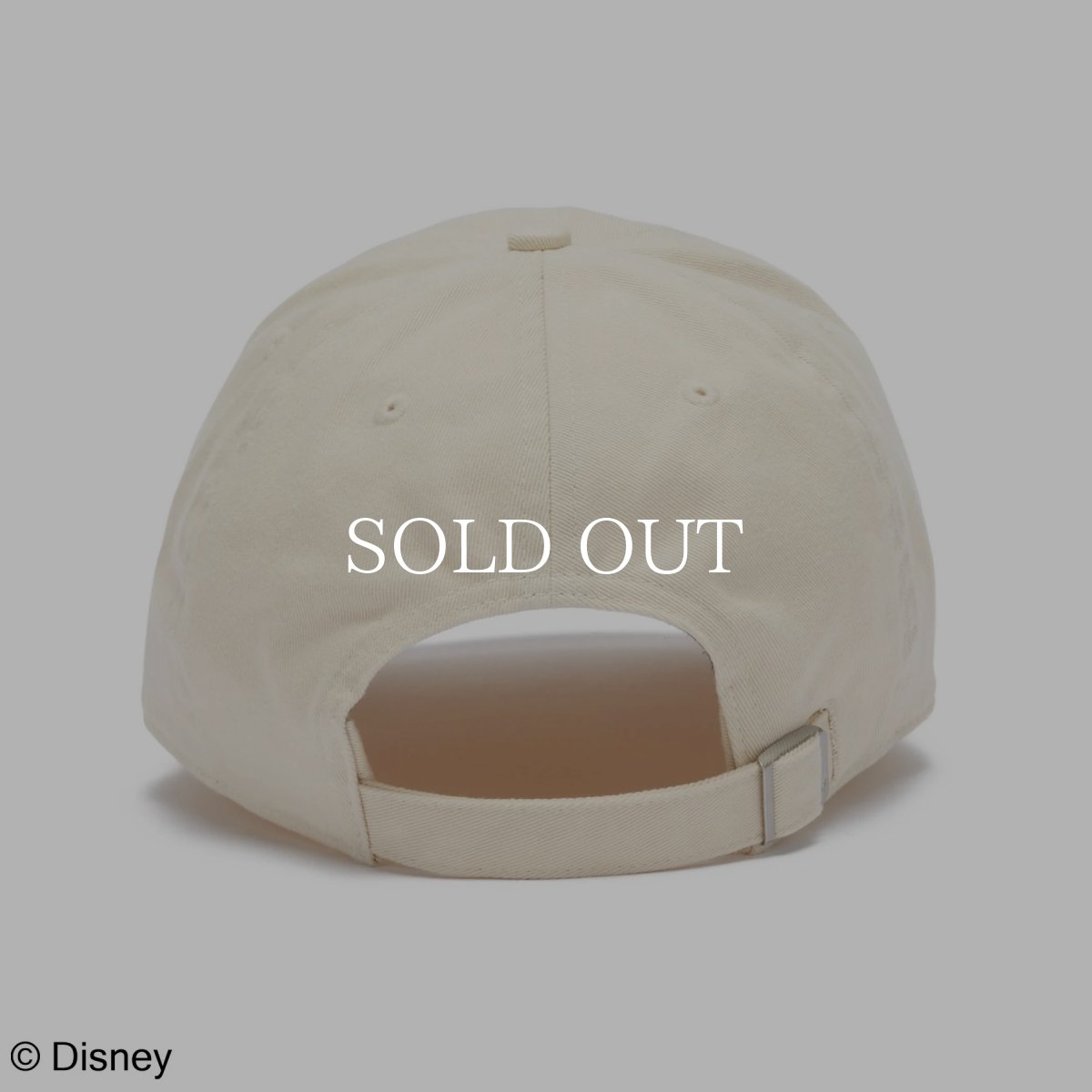 画像4: '47  ’47 クリーンナップ Disney ディズニー プルート サンドストーム (4)