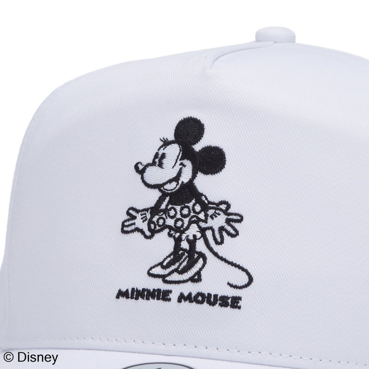 画像8: '47  ’47 ヒッチ Disney ディズニー ミニーマウス ココナッツ (8)