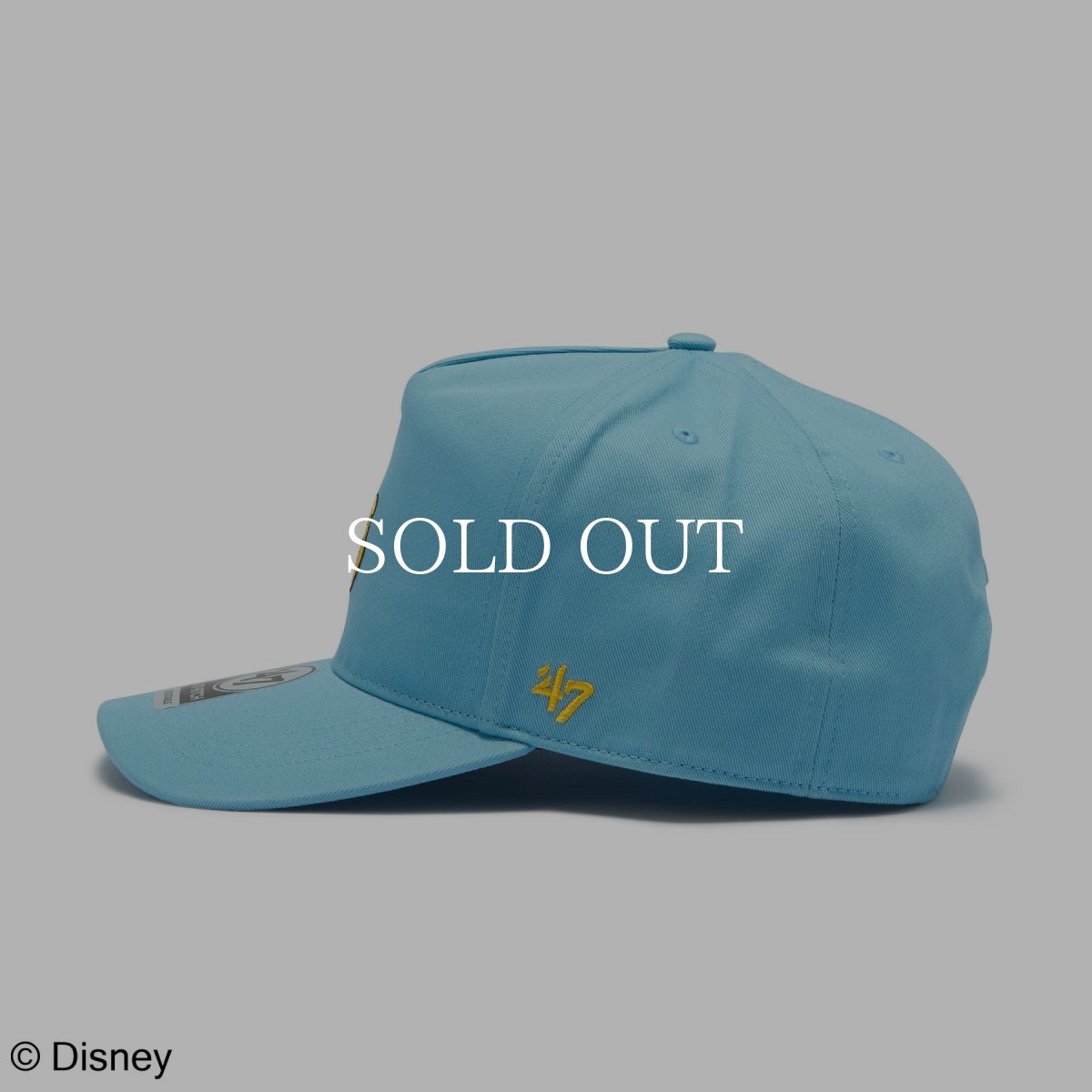 画像6: '47  ’47 ヒッチ Disney ディズニー ウィニー・ザ・プー コロンビア (6)