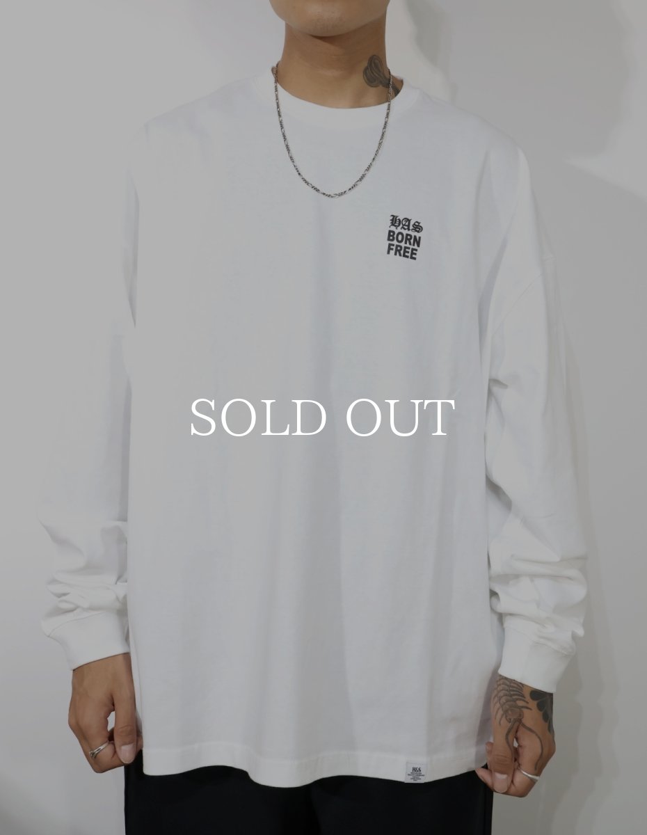 画像5: HideandSeek  Rose HAS L/S Tee (Loose Fit) (5)