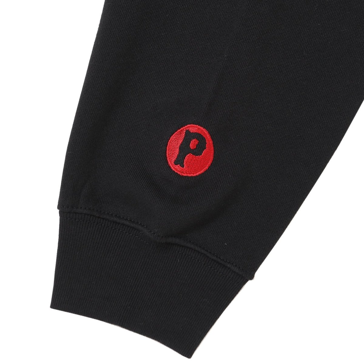 画像8: PORKCHOP GARAGE SUPPLY  SCRIPT COLLEGE SWEAT (8)