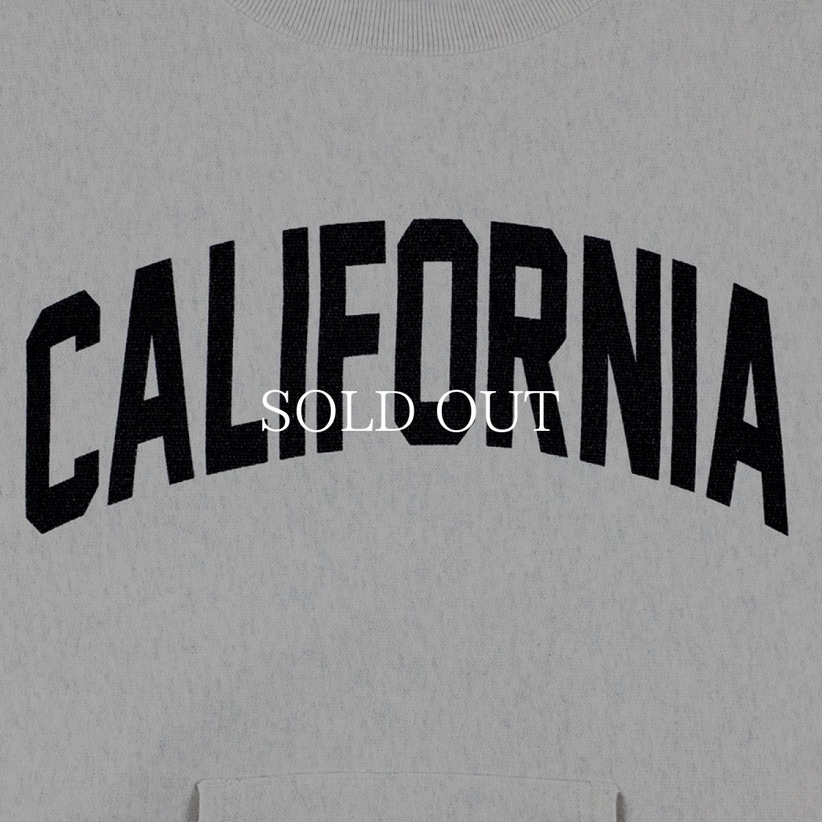 画像4: STANDARD CALIFORNIA  Champion For SD Exclusive R.W Crew Sweat (4)
