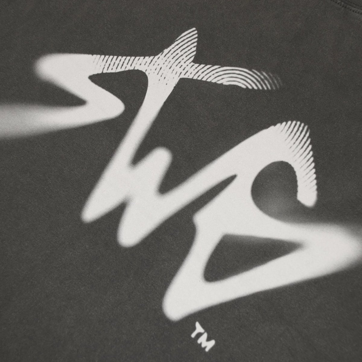 画像9: SWAGGER®  Signature Blur Logo LS Tee (9)