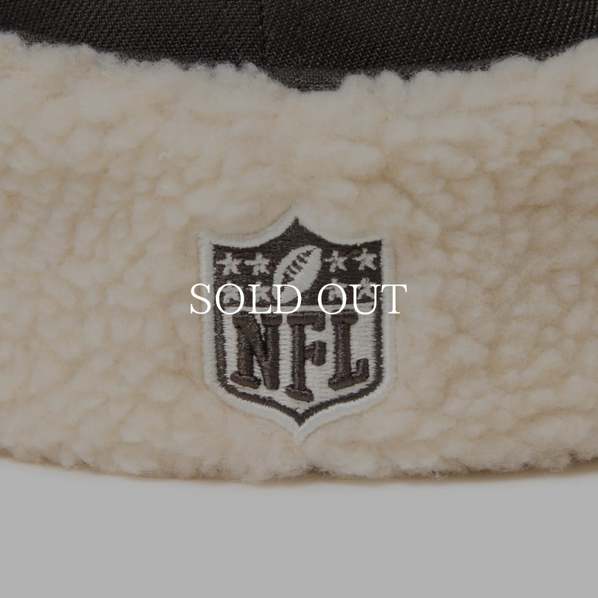 画像17: NEW ERA  59FIFTY Dog Ear ドッグイヤー ラスベガス・レイダース ダークピューター (17)