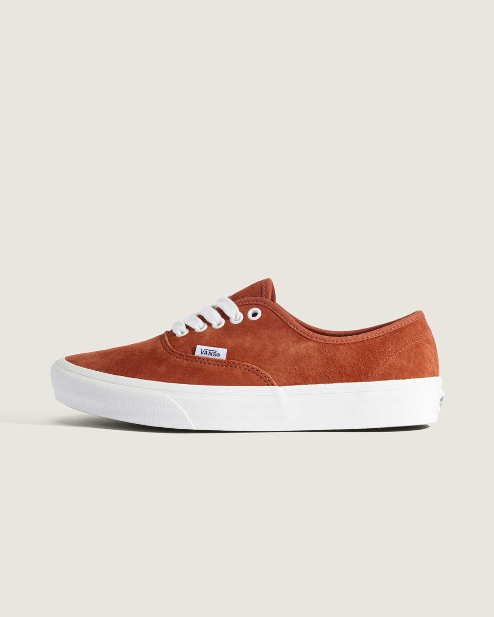 画像1: VANS  Authentic (1)