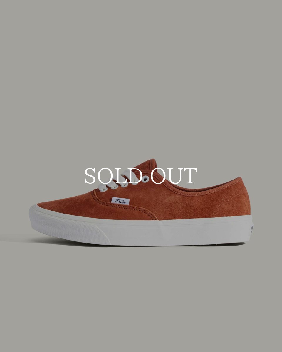 画像1: VANS  Authentic (1)
