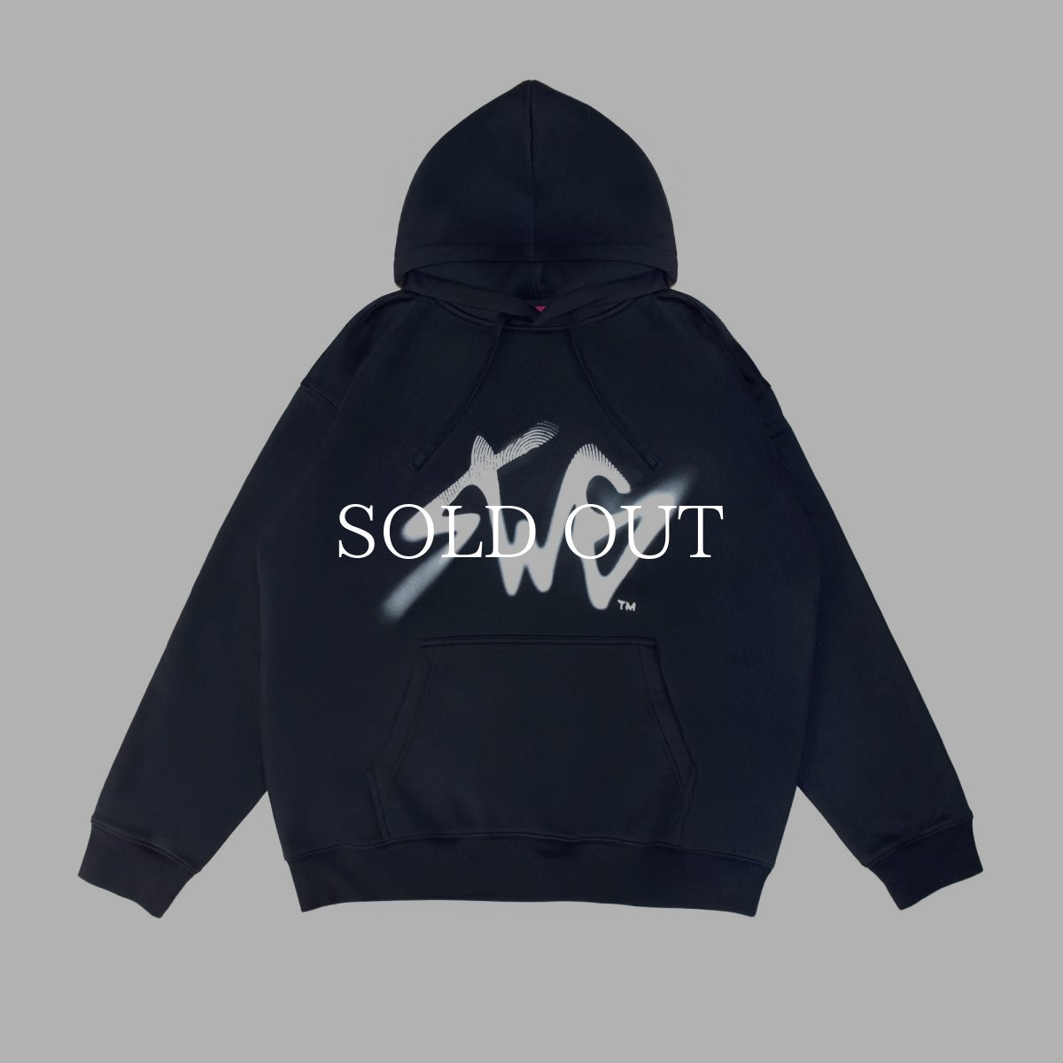 画像5: SWAGGER®  Signature Blur Logo Hoodie (5)