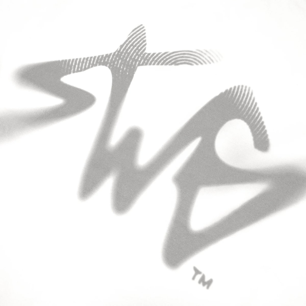 画像3: SWAGGER®  Signature Blur Logo LS Tee (3)