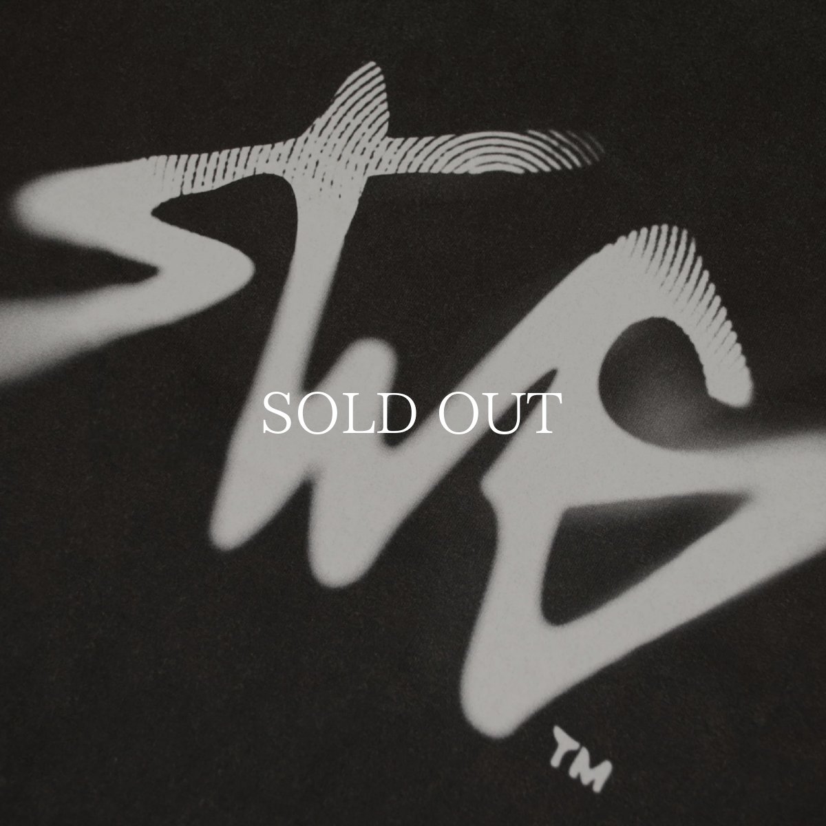 画像6: SWAGGER®  Signature Blur Logo LS Tee (6)