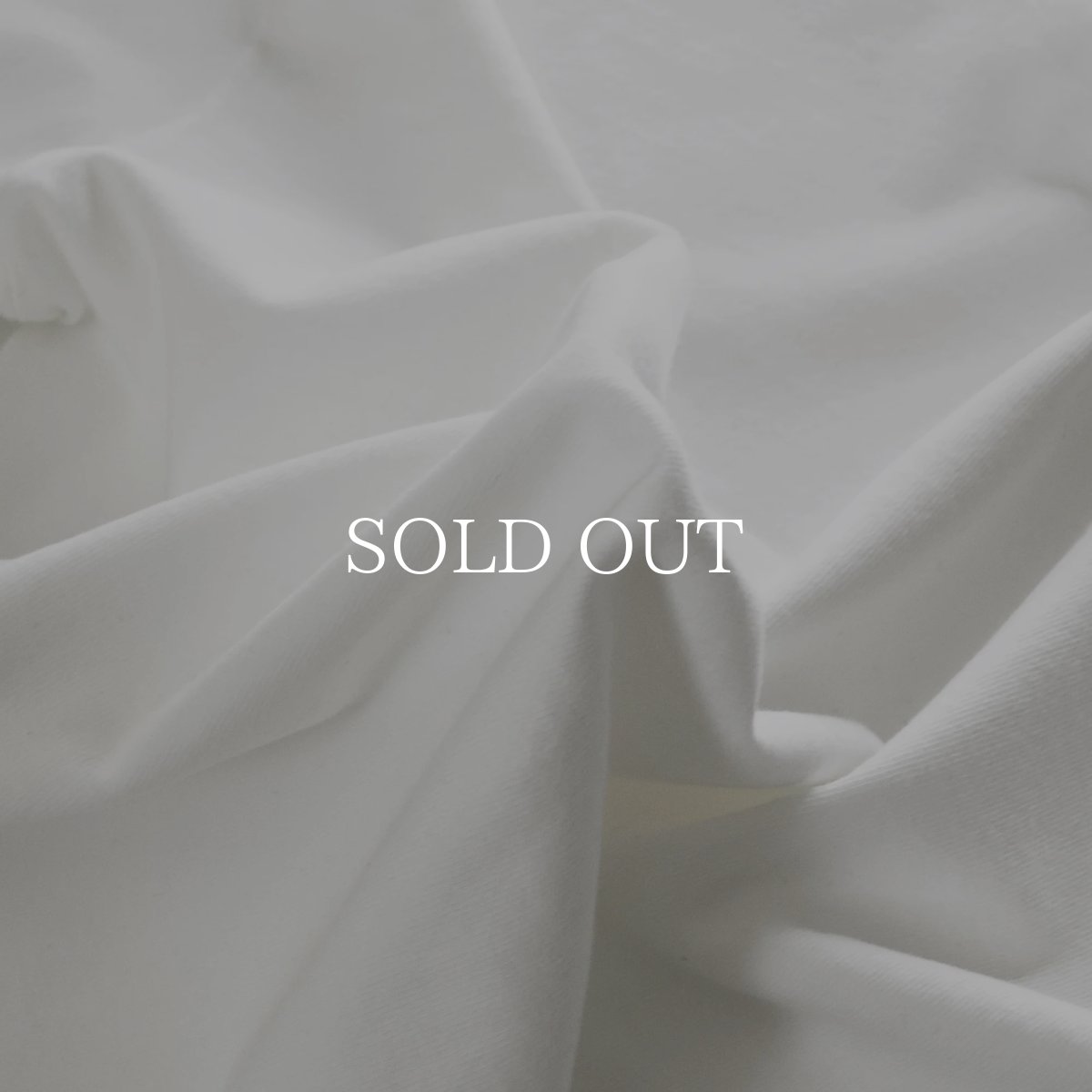 画像5: SWAGGER®  Frame Box Logo LS Tee (5)