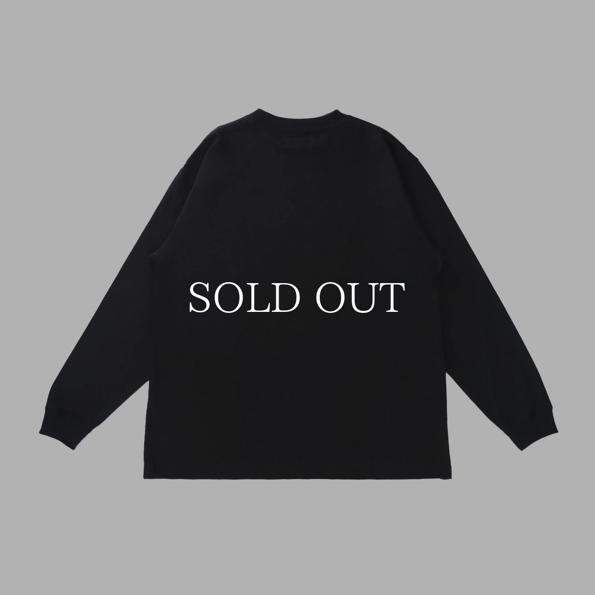 画像7: SWAGGER®  Frame Box Logo LS Tee (7)