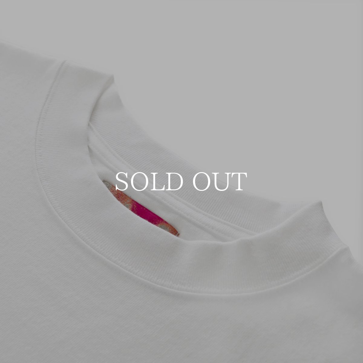 画像3: SWAGGER®  Frame Box Logo LS Tee (3)