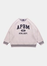 画像3: APPLEBUM  “APBM” Mall Knit Sweater (3)