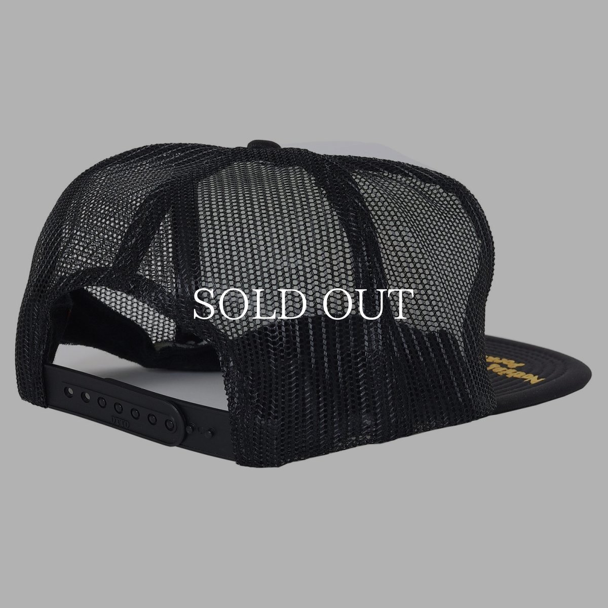 画像9: PORKCHOP GARAGE SUPPLY  WAVE LOGO MESH CAP (9)