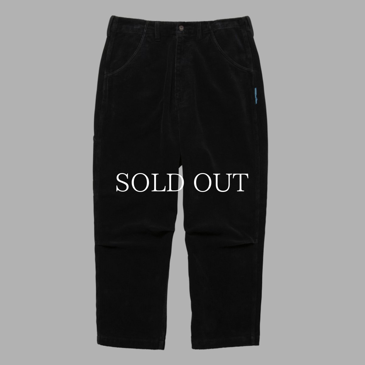 画像13: Liberaiders  GARMENT DYED CORDUROY SARROUEL PANTS (13)
