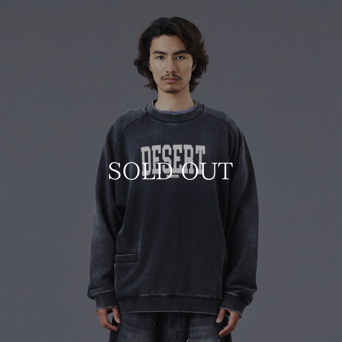 画像3: Liberaiders  DESERT CREWNECK (3)