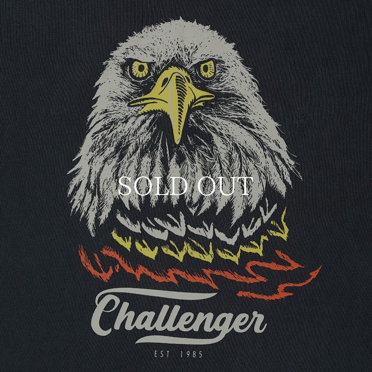 画像3: CHALLENGER  EAGLE C/N SWEAT (3)