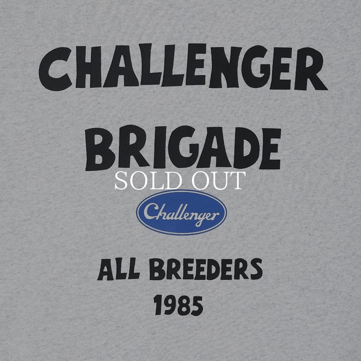 画像10: CHALLENGER  BRIGADE ZIP HOODIE (10)