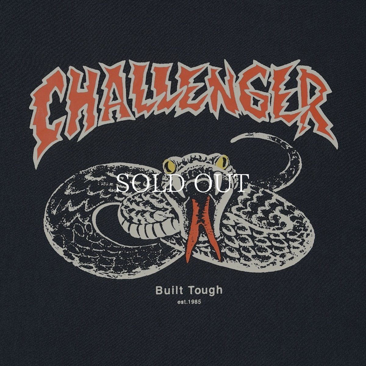 画像3: CHALLENGER  PIGMENT SNAKE TEE (3)