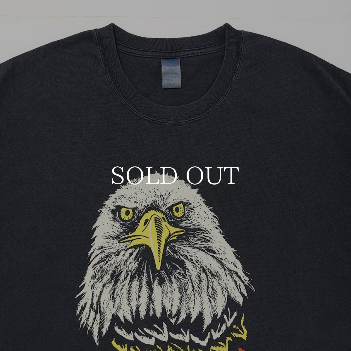画像5: CHALLENGER  EAGLE TEE (5)