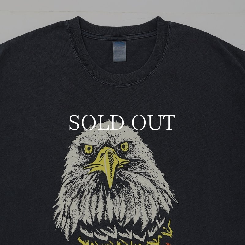 CHALLENGER EAGLE TEE CLG-TS 026-008 公式通販
