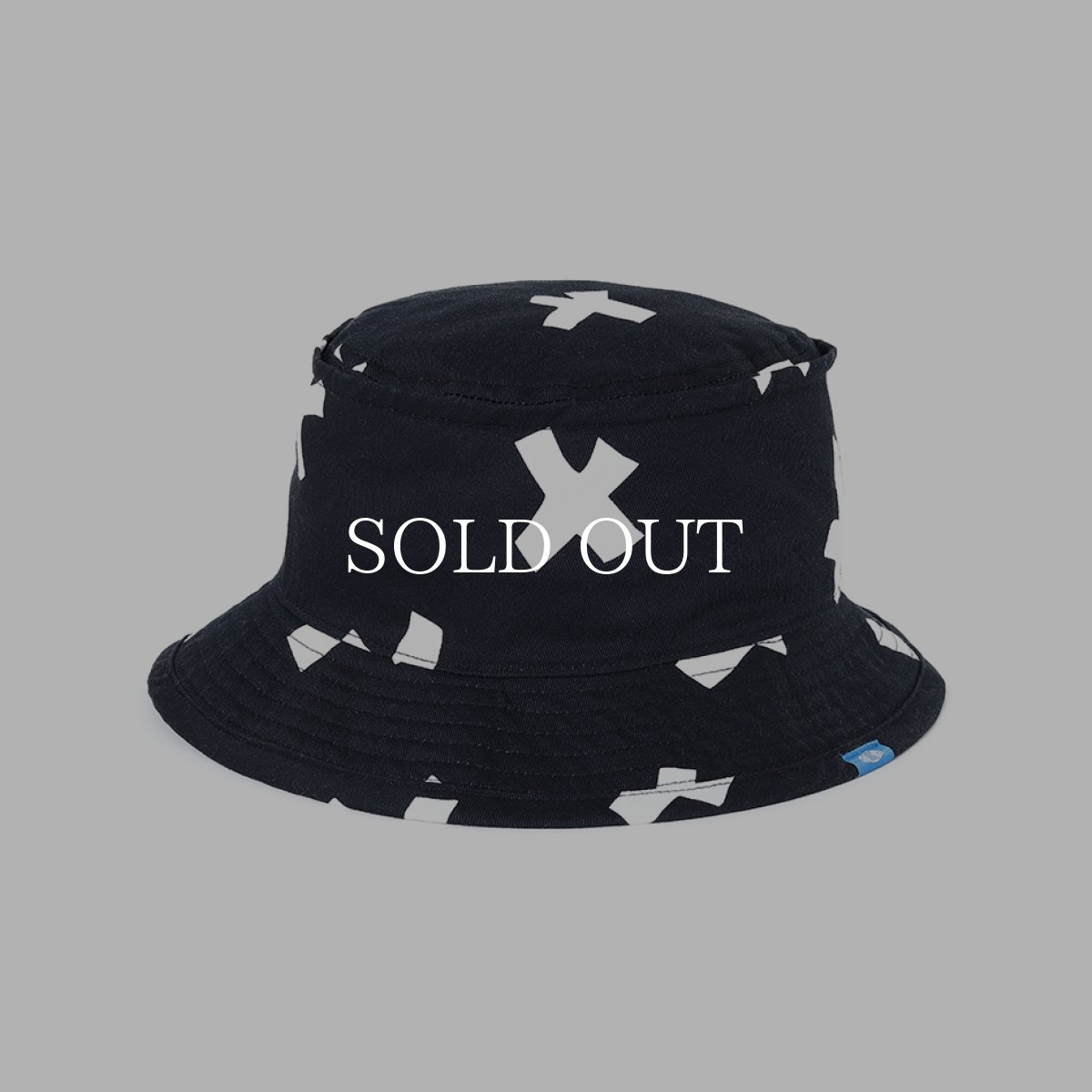 画像1: CHALLENGER  CROSS HAT (1)