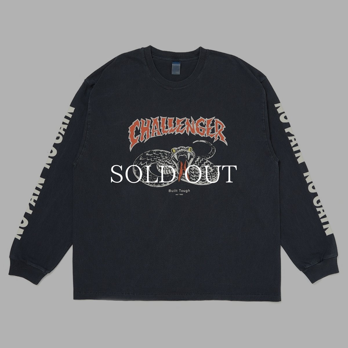 画像1: CHALLENGER  【再入荷】L/S PIGMENT SNAKE TEE (1)