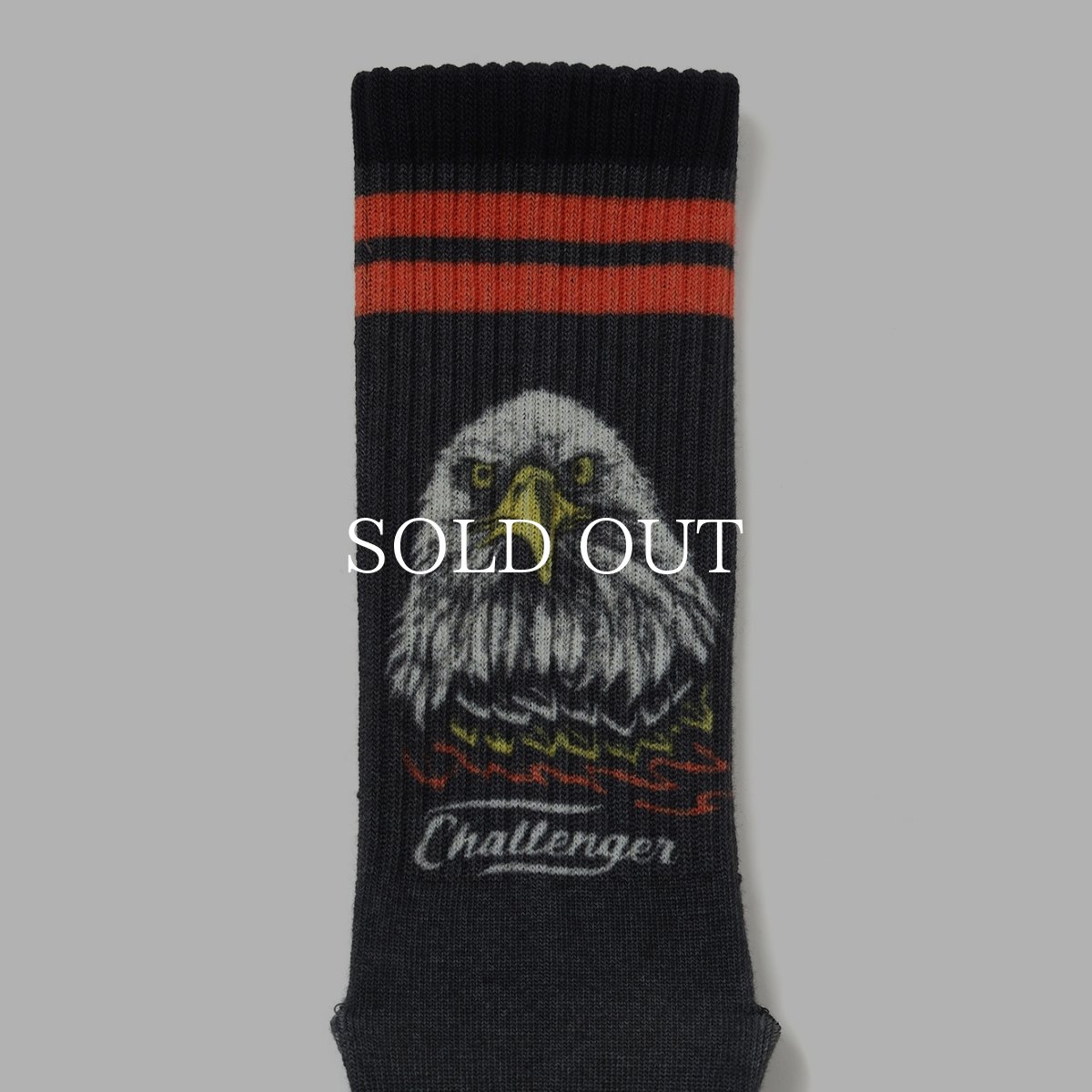 画像5: CHALLENGER  EAGLE SOCKS (5)