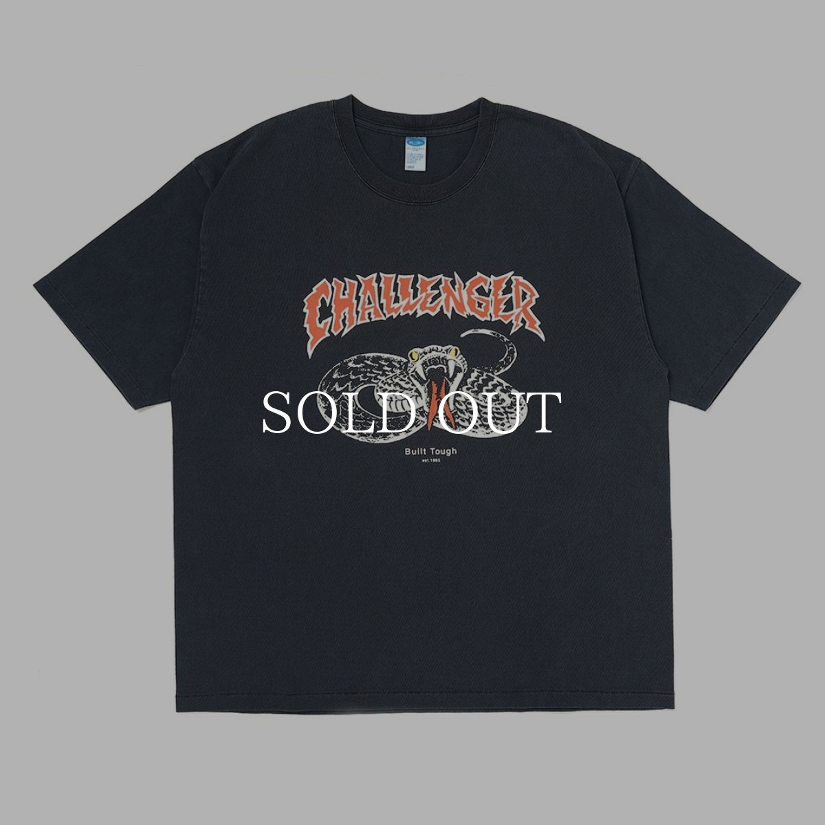 画像1: CHALLENGER  PIGMENT SNAKE TEE (1)