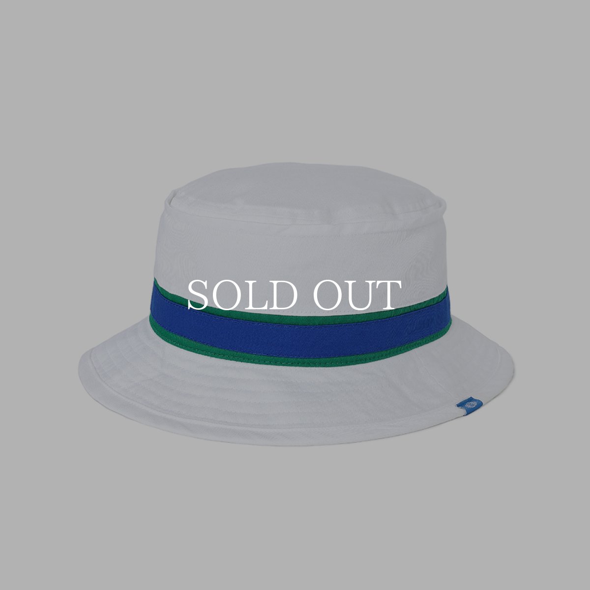 画像9: CHALLENGER  LINE HAT (9)