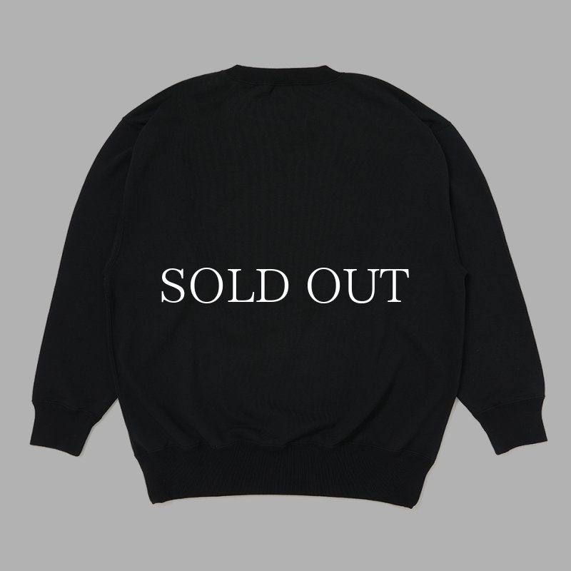 CHALLENGER SNOOPY C/N SWEAT CLG-SW 026-004 公式通販