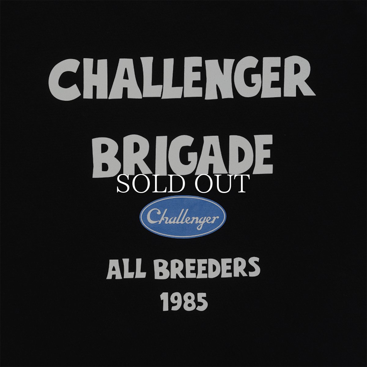画像10: CHALLENGER  BRIGADE TEE (10)