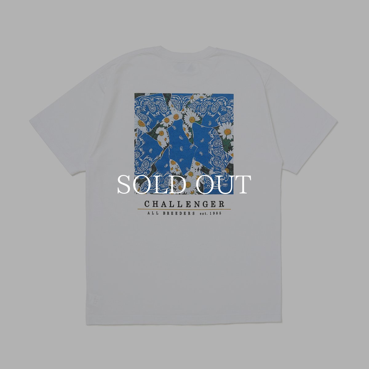 画像1: CHALLENGER  DAISY TEE (1)