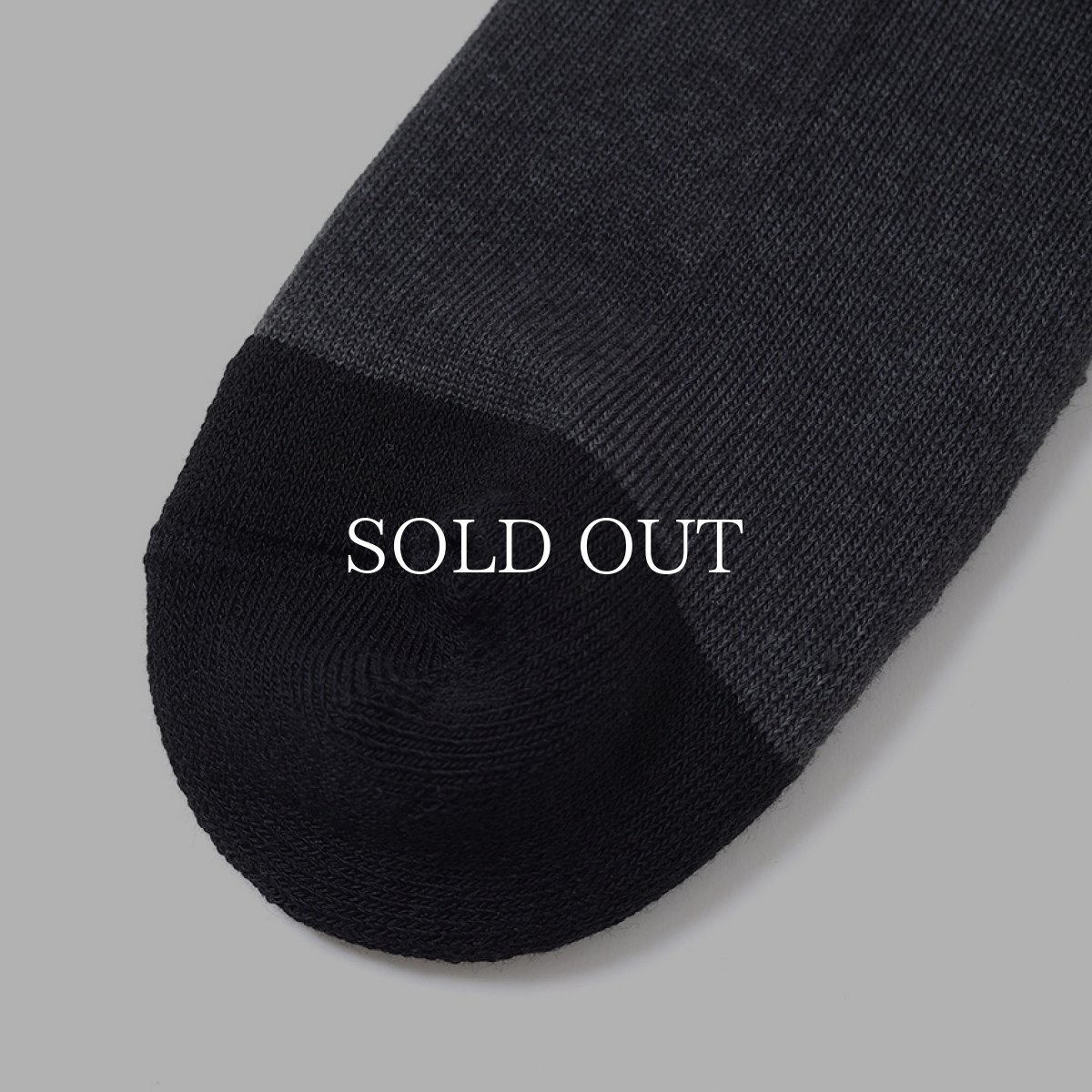 画像3: CHALLENGER  EAGLE SOCKS (3)