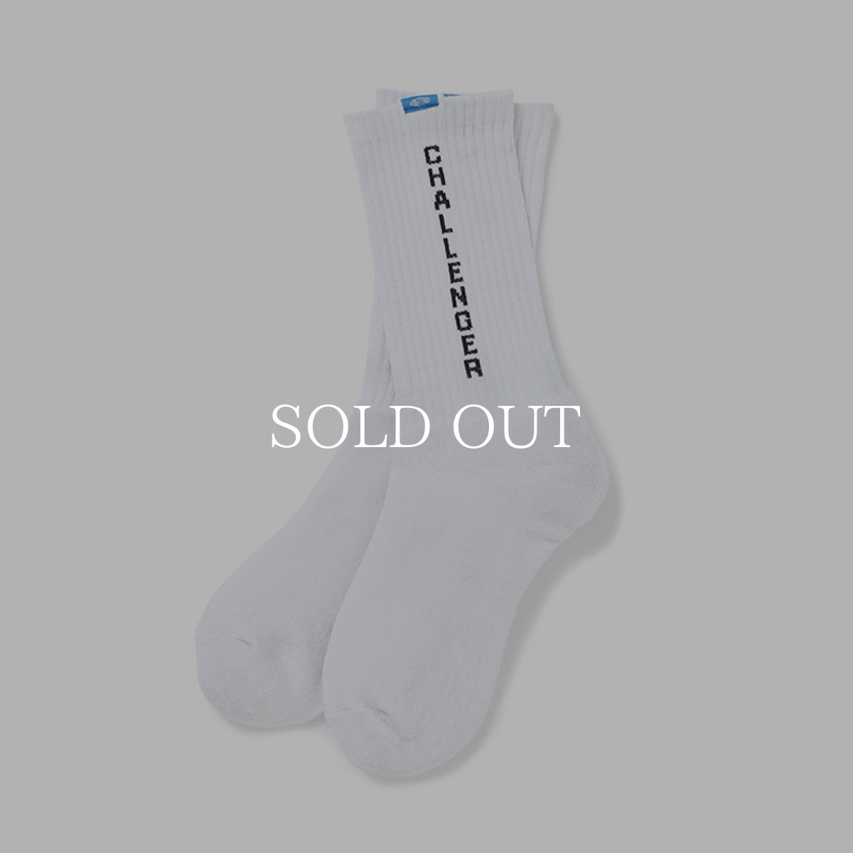 画像1: CHALLENGER  LOGO SOCKS (1)