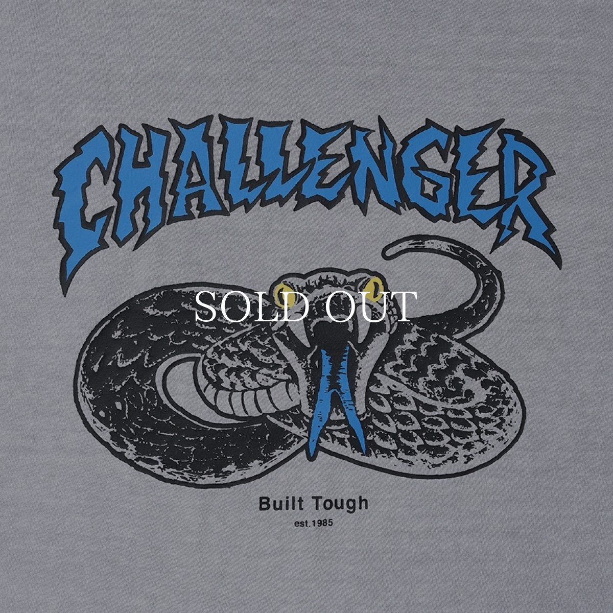 画像8: CHALLENGER  【再入荷】L/S PIGMENT SNAKE TEE (8)