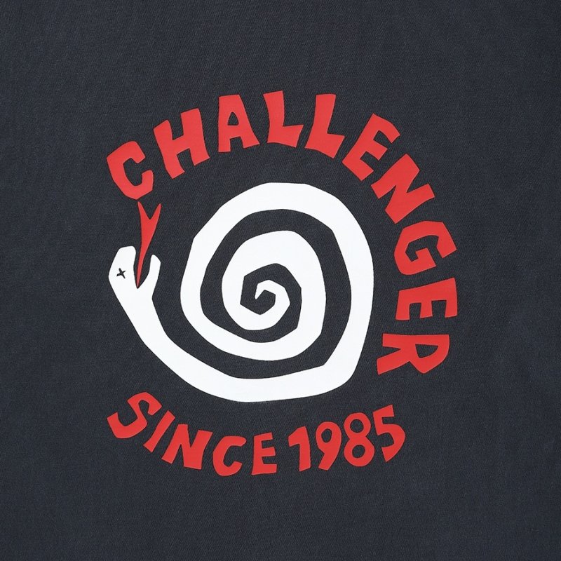 CHALLENGER L/S PIGMENT SPIRAL SNAKE TEE CLG-TS 026-015 公式通販