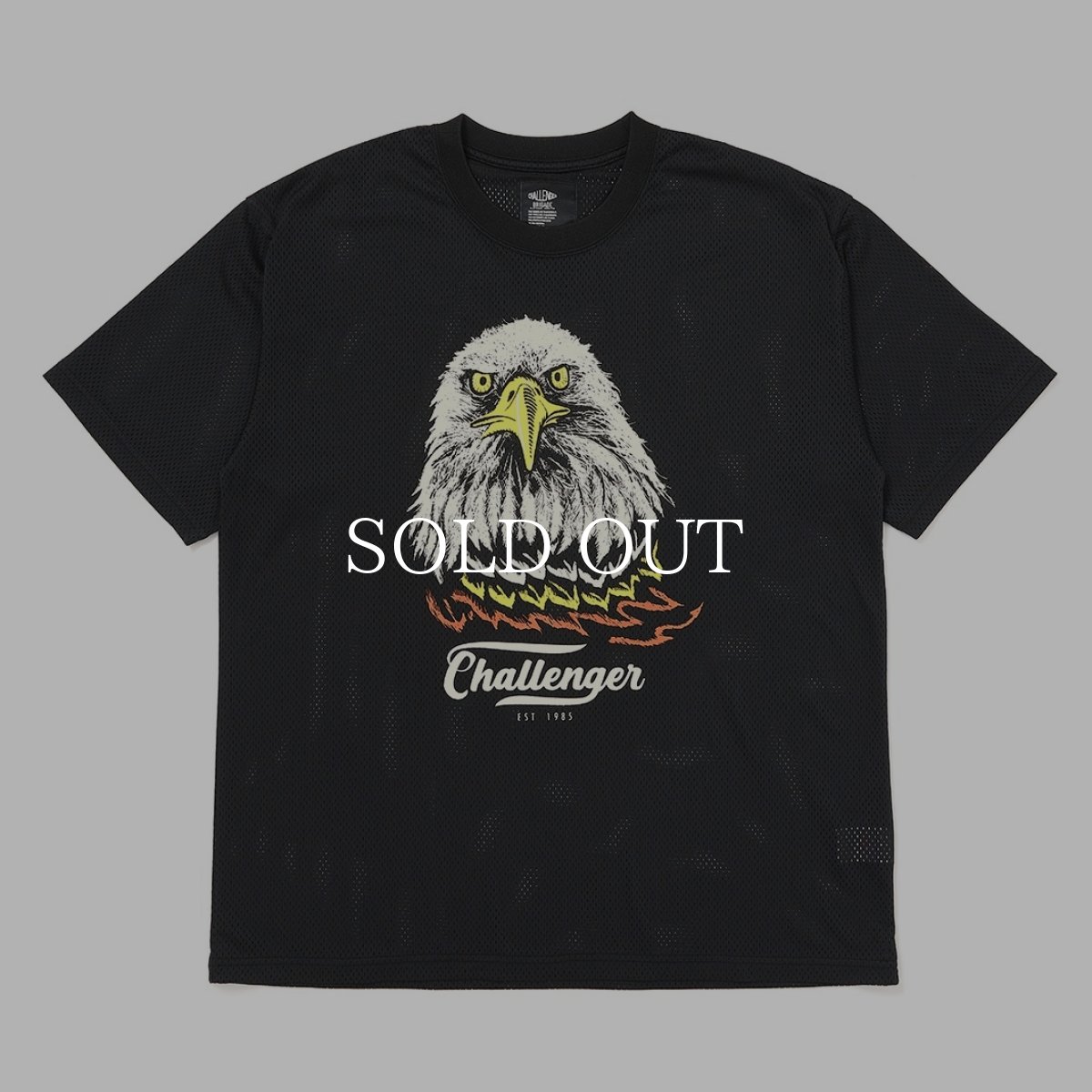 画像1: CHALLENGER  EAGLE DRY MESH TEE (1)
