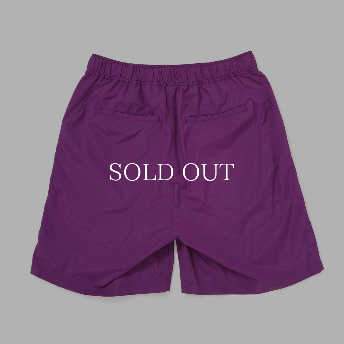 画像19: CHALLENGER  NYLON BASIC SHORTS (19)