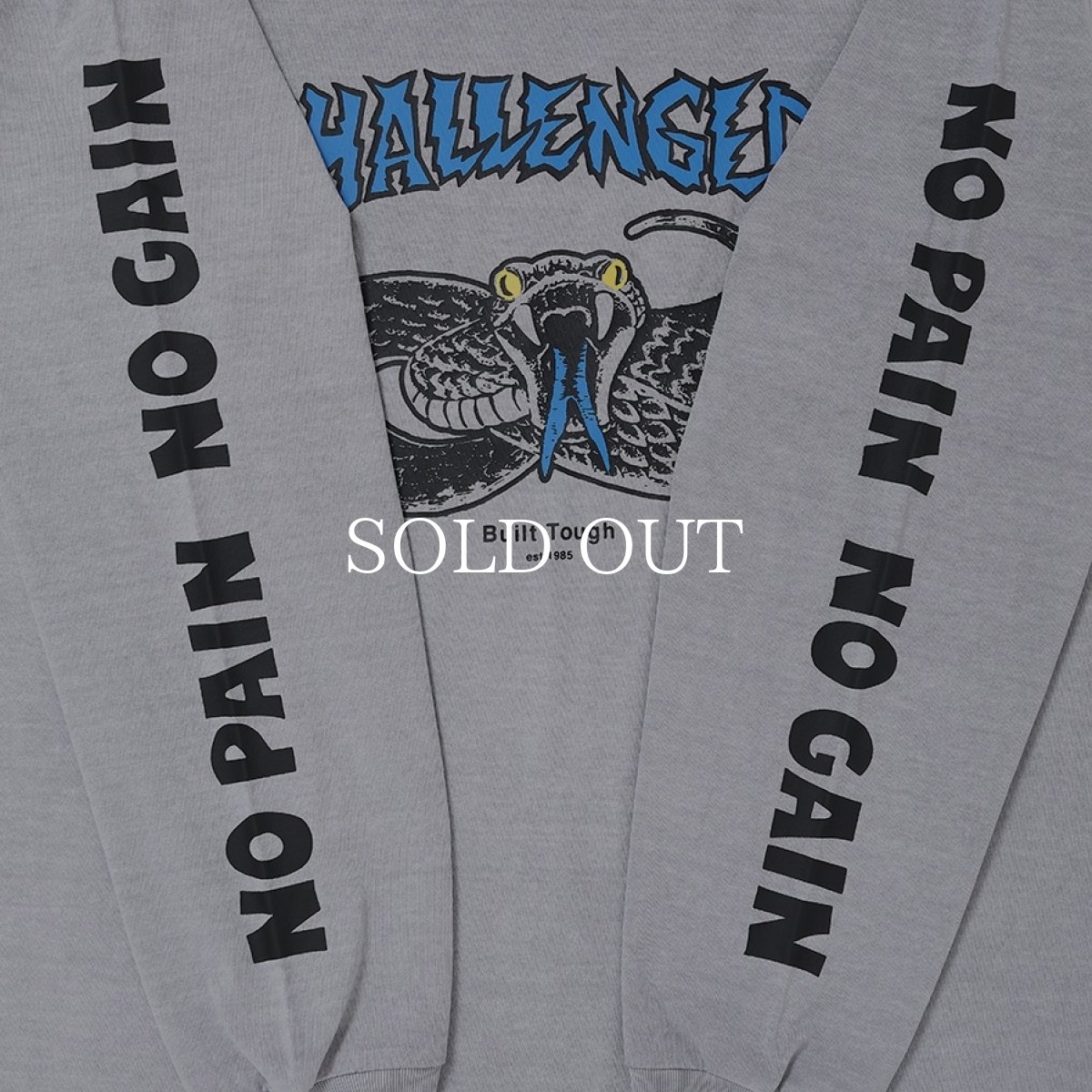 画像7: CHALLENGER  【再入荷】L/S PIGMENT SNAKE TEE (7)