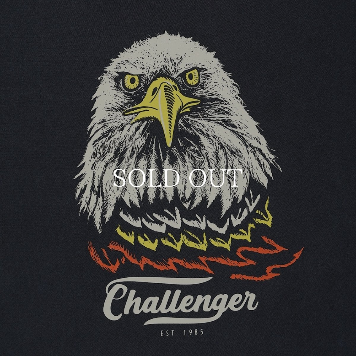 画像6: CHALLENGER  EAGLE TEE (6)