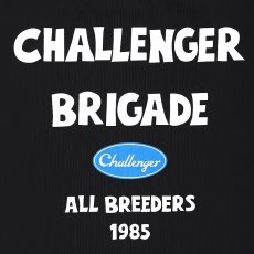 画像3: CHALLENGER  STORM TOTE BAG (3)